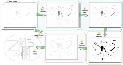 The Interpretation of Particle Size, Shape, and Carbon Flux of Marine Particle Images Is Strongly Affected by the Choice of Particle Detection Algorithm